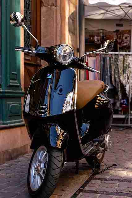 蘑菇影视在线观看#未来走向#观察#极致#快速入门，蘑菇影视app官网