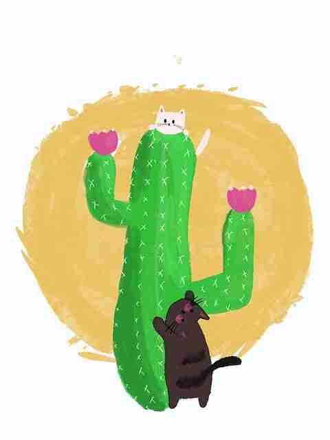 【p站官网入口】彩蛋级视听密码解锁 - 终极宝典，p站original