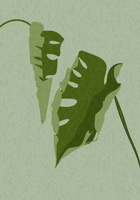 飓风级复盘!海角社区app下载用户画像（硬核干货）